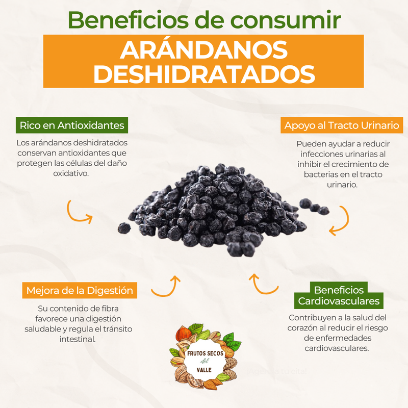 Arándano Deshidratado - Imagen 2