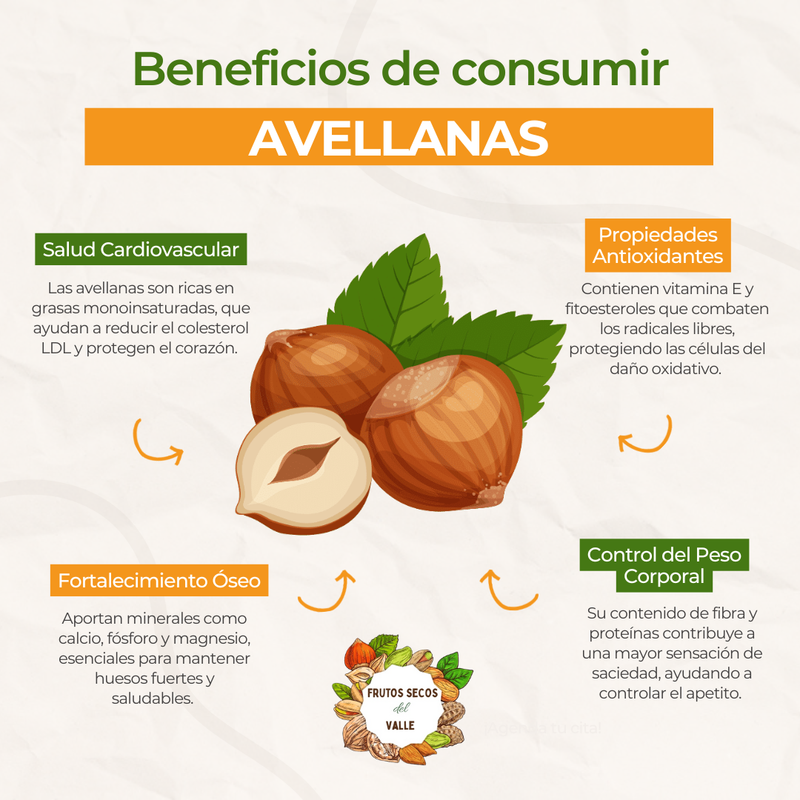 Avellana Europea Tostada - Imagen 2