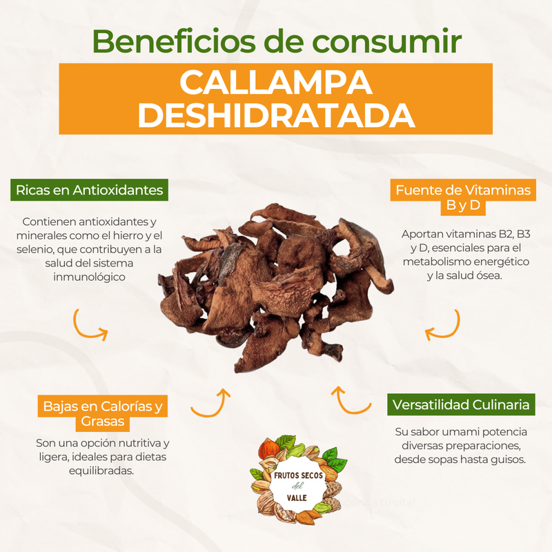 Callampa Seca/Deshidratada - Imagen 2