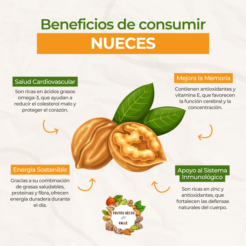 Cuarto de Nuez ámbar - Imagen 2