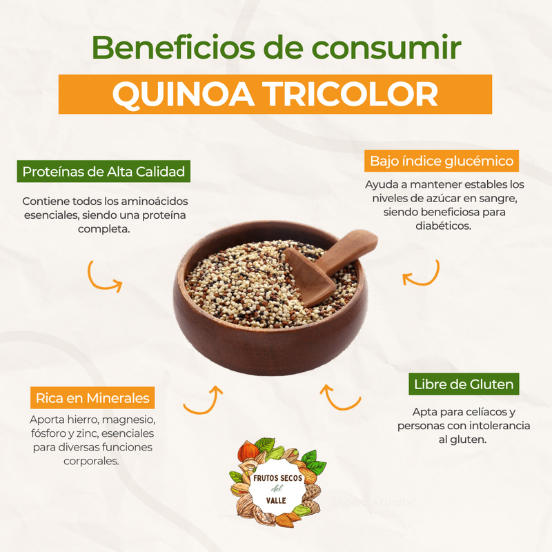 Quinoa Tricolor - Imagen 2
