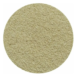 Semilla de Sésamo Blanco